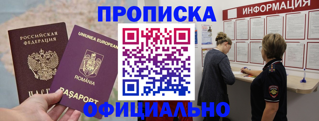 временная регистрация гарантия в Курской области